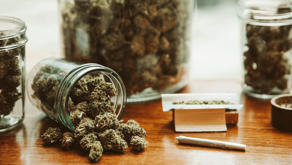 Wie man Autoflowering-Cannabissamen im Freien anbaut: Zusätzliche Tipps für den Erfolg