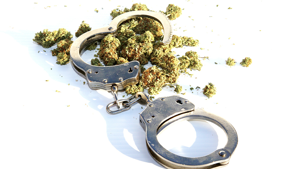 US Congress Urges Biden to Pardon All Those Convicted for Nonviolent Marijuana Offences: Handcuffs and some loose marijuana buds on a white background