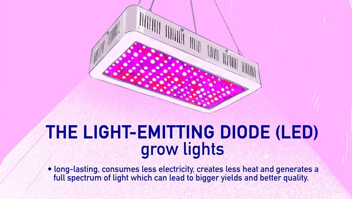 How to Grow Cannabis Indoors: a Beginners guide - 2021 (Part 1): LED Grow Lights