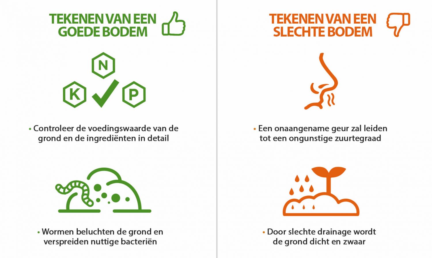 Welke grond is het beste voor zelfbloeiende cannabis?: Tekenen van een goede en slechte bodem Welke grond is het beste voor zelfbloeiende cannabis?: Tekenen van een goede en slechte bodem