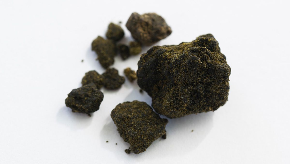 How to use sugar leaves: hash