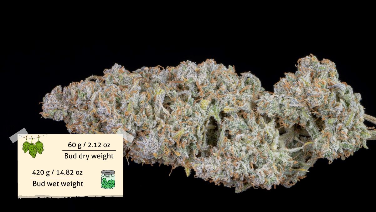 Hawkbo Harvest Hawkbo Harvest