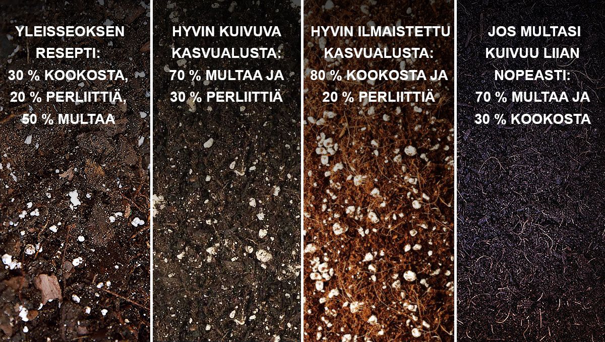 9 virhettä joita välttää: paras kasvualusta 9 virhettä joita välttää: paras kasvualusta