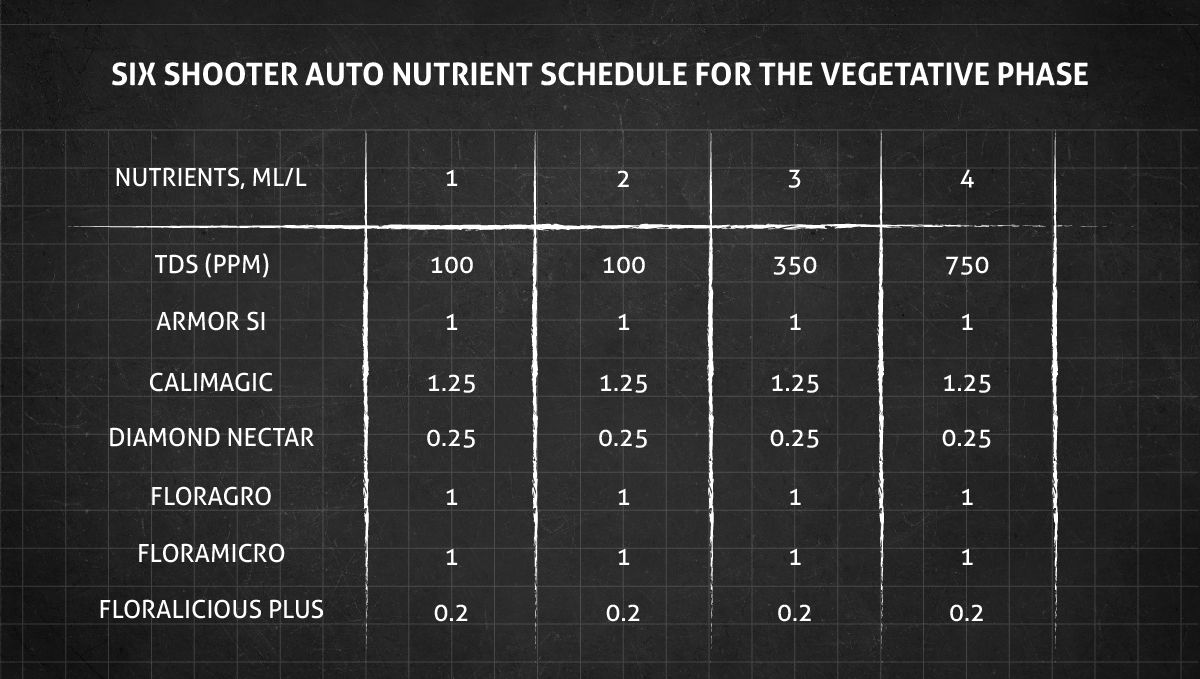 Six Shooter Auto cannabis strain: veg nutrient schedule