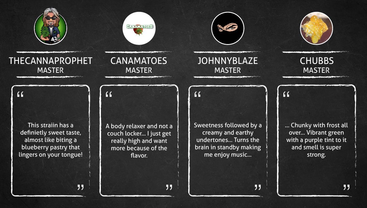 Purple Punch Auto Cannabis Strain Week-by-Week Guide: Quotes by growers describing the smoke