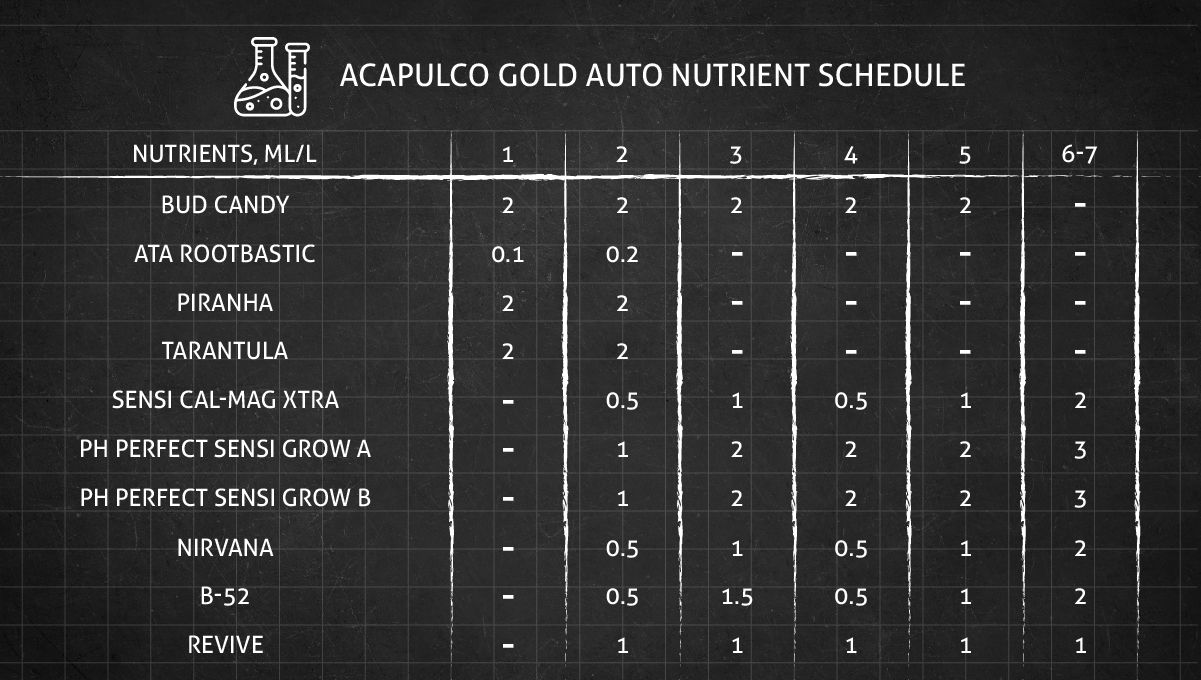 Acapulco Gold cannabis strain: feeding chart for the vegetative stage
