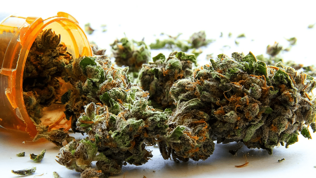 Weed in lebanon: medicinal cannabis Weed in lebanon: medicinal cannabis