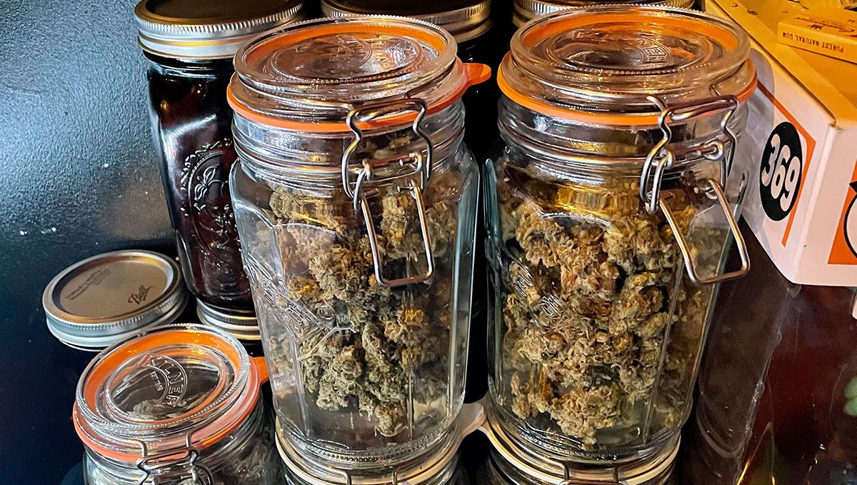 Die Fermentierung von Weed ist genauso wichtig wie sein Anbau!