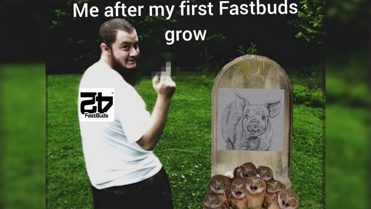 6 (3).jpg Meme