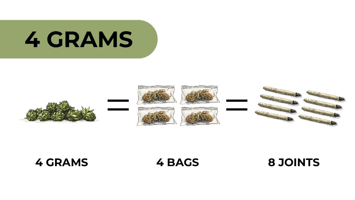 4 Grams of Weed: Understanding Marijuana Weights and Measurements: An infographic showing how many joints you can roll from 4 grams of cannabis 4 Grams of Weed: Understanding Marijuana Weights and Measurements: An infographic showing how many joints you can roll from 4 grams of cannabis