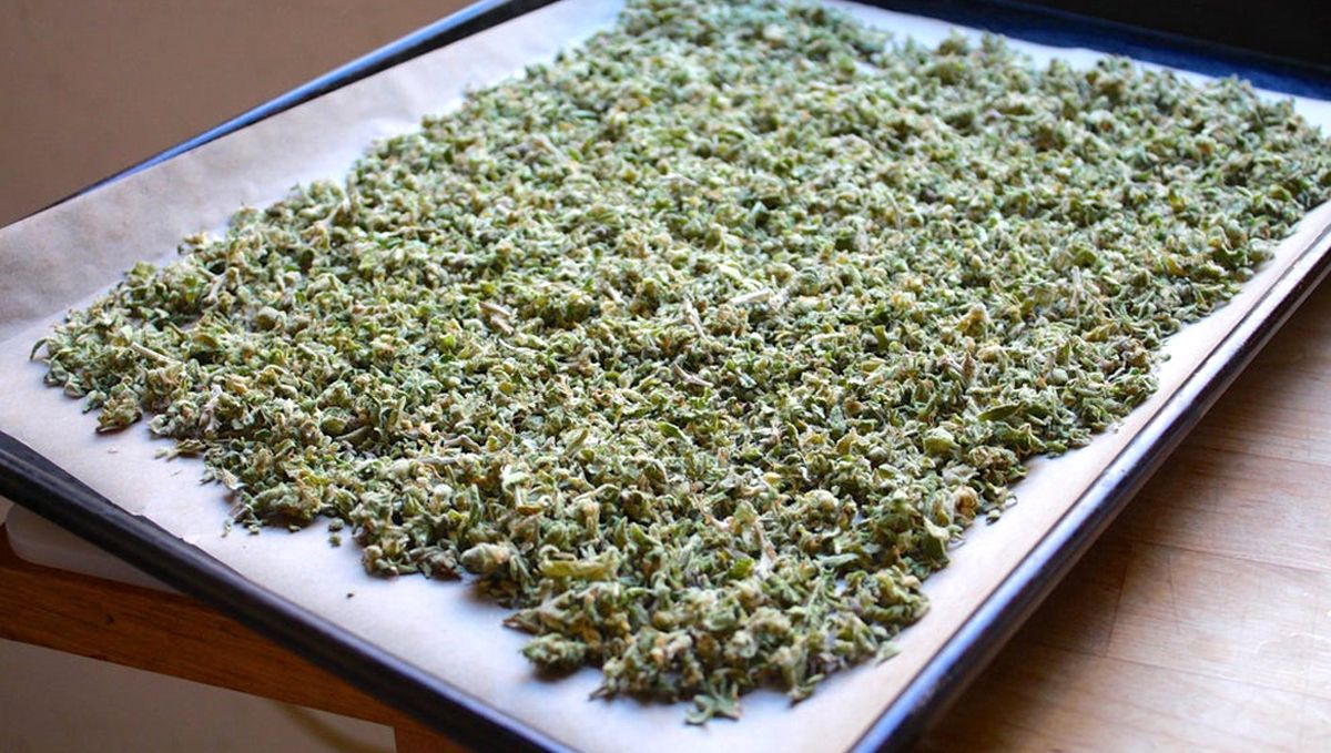 What Should I Do With My Sugar Leaf Trim?: Decarboxylation What Should I Do With My Sugar Leaf Trim?: Decarboxylation