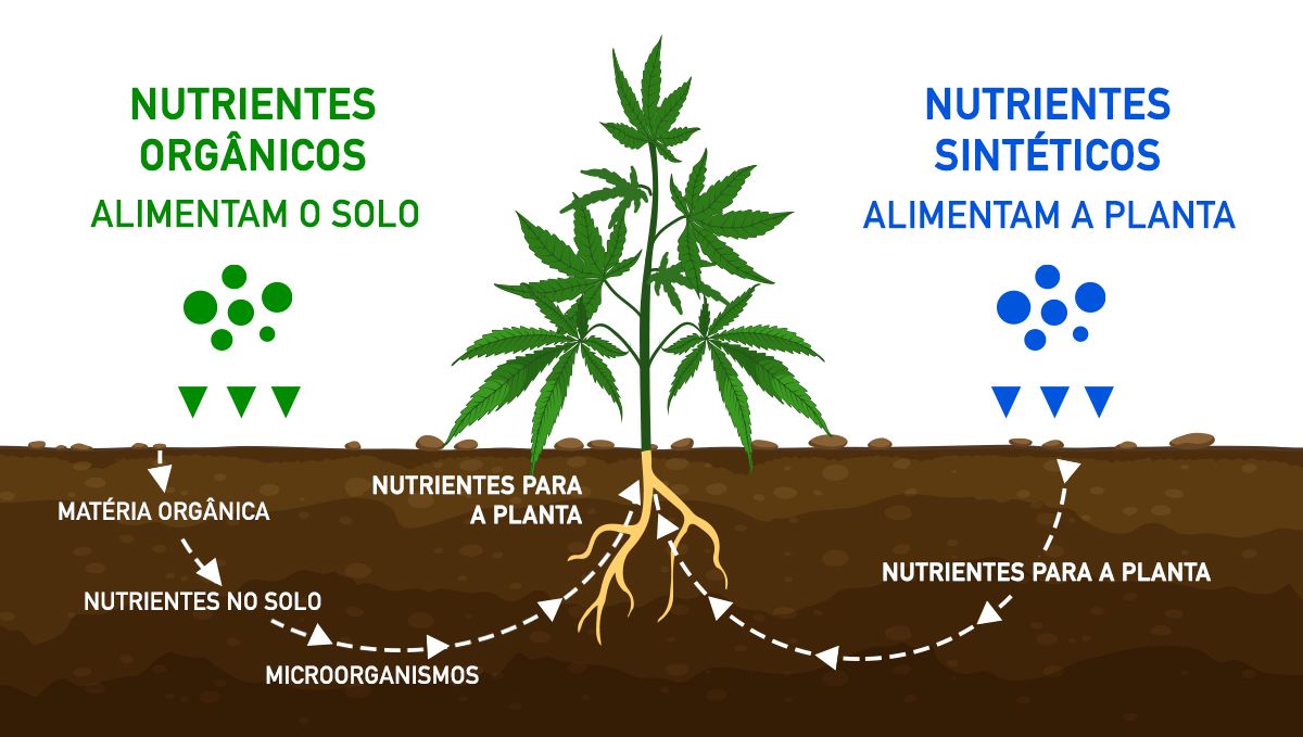 Quanto é que as automáticas rendem: nutrientes Quanto é que as automáticas rendem: nutrientes