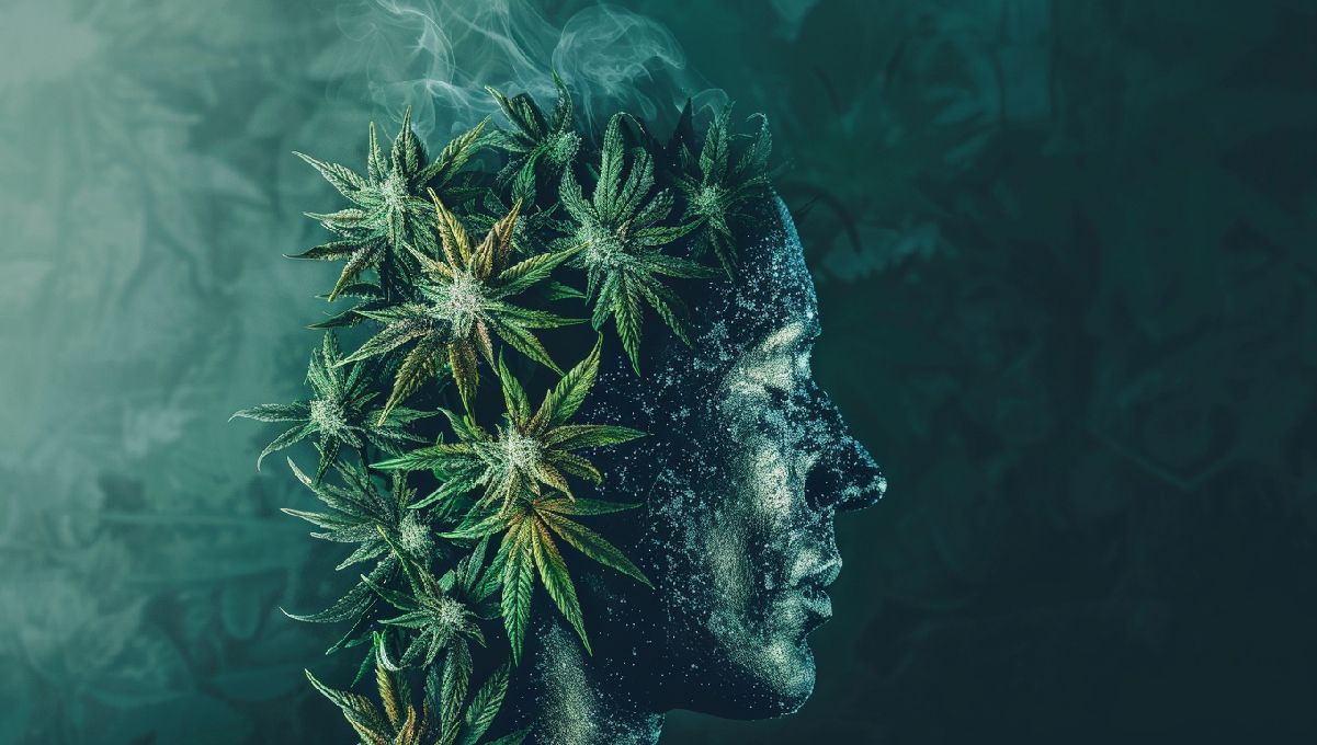 Virtual Reality Highs: The Interplay Between Cannabis Use and VR Experiences Virtual Reality Highs: The Interplay Between Cannabis Use and VR Experiences
