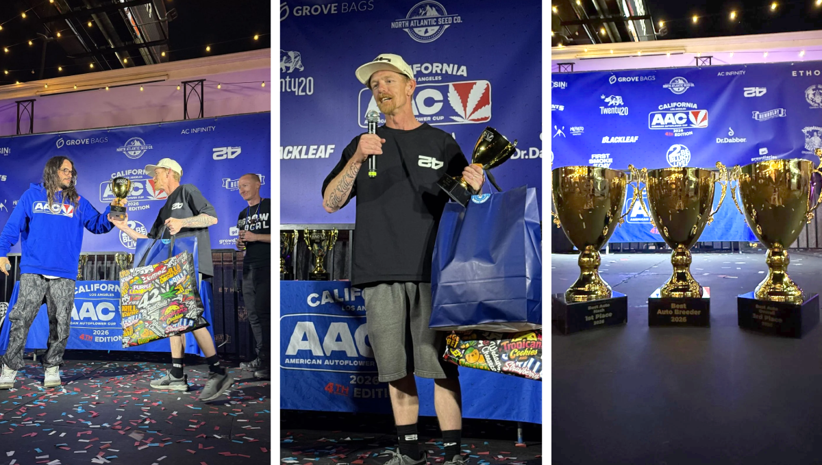 col35_.png American Autoflower Cup 2026'da üçlü zaferimizi ödüller ve takdirle kutluyoruz.