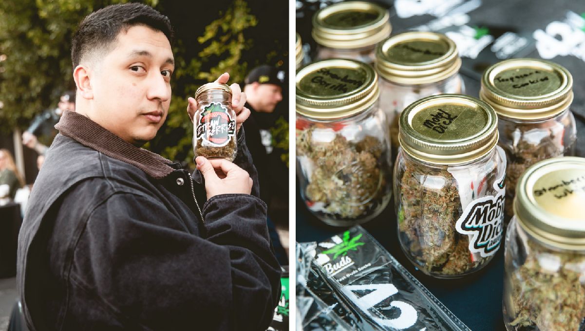 Fast Buds-Sorten auf der AAC 2024 vertreten.