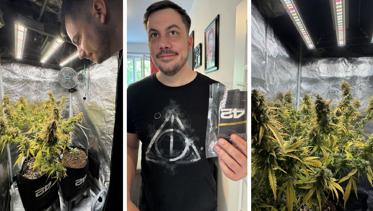 3-23.jpg fast Buds home visits in Germany