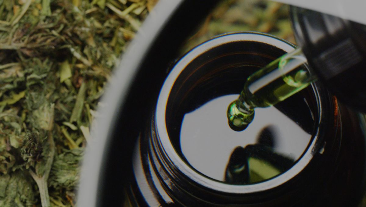 How to use sugar leaves: tinctures