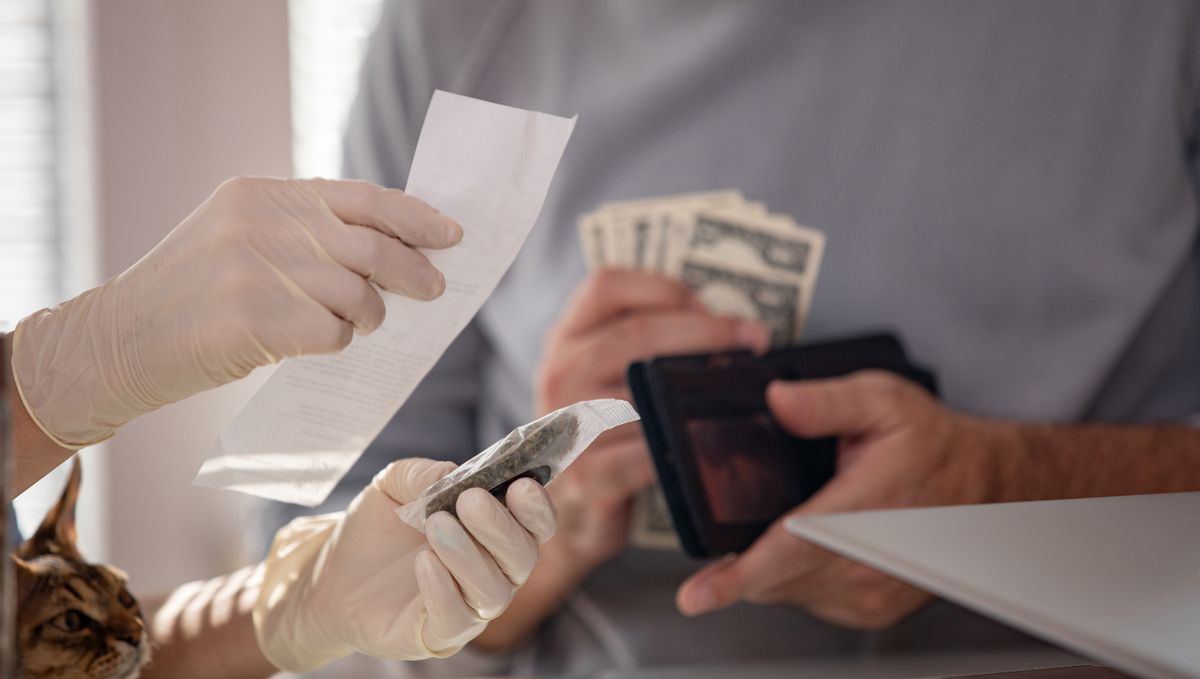 Ounce of weed: how much does an ounce of weed cost?