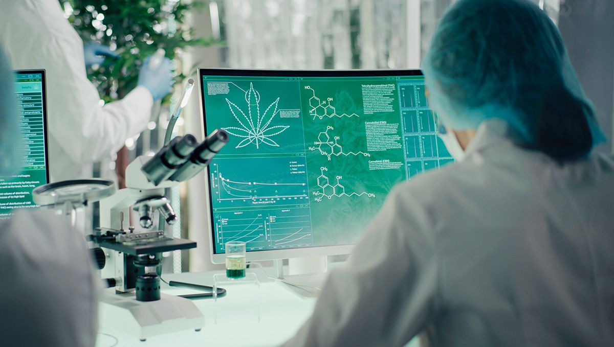 Will smoking weed at night give you a hangover the next morning: scientific research into weed hangovers Will smoking weed at night give you a hangover the next morning: scientific research into weed hangovers