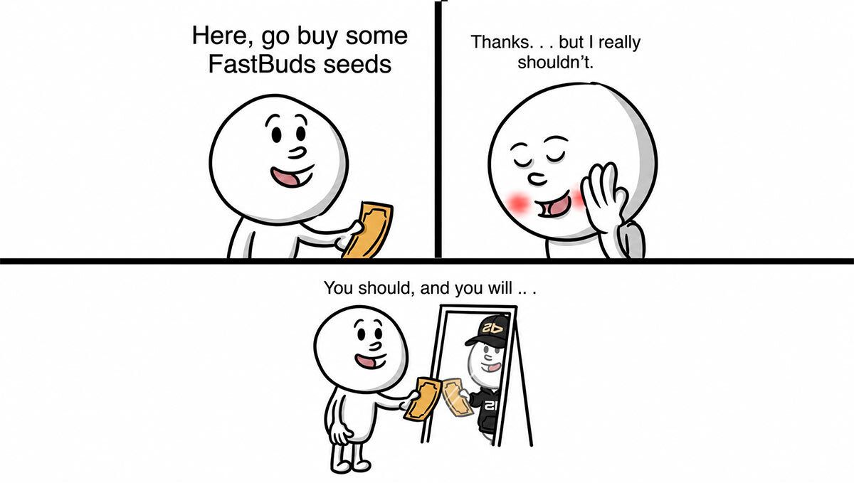 Discord meme