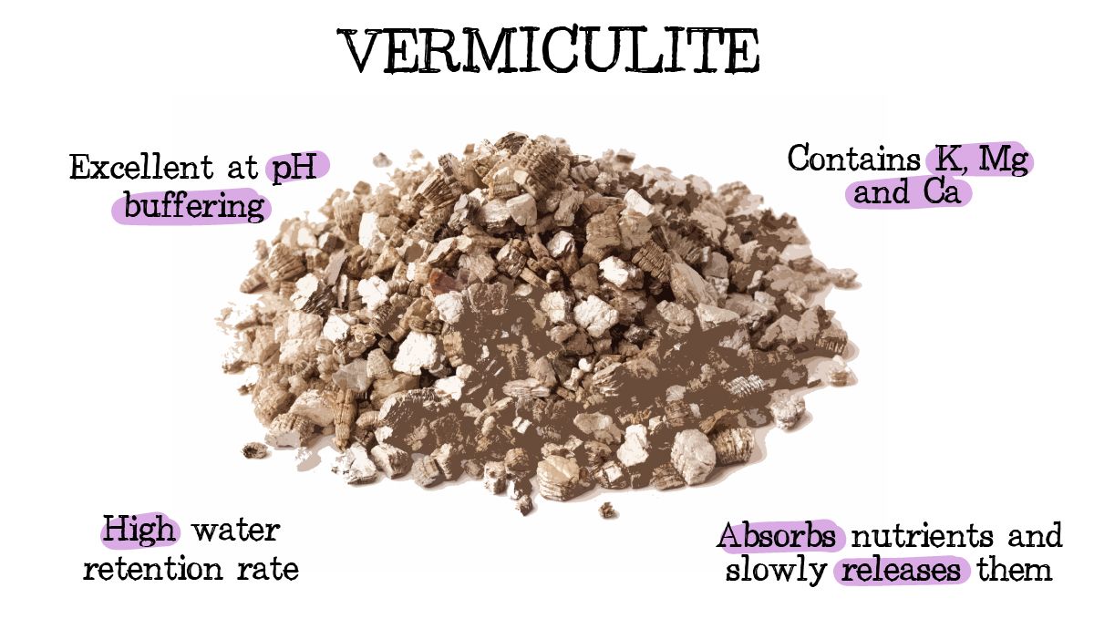 Drainage for Cannabis Plants: Why is it Important and How To Improve it - Vermiculite and its benefits Drainage for Cannabis Plants: Why is it Important and How To Improve it - Vermiculite and its benefits