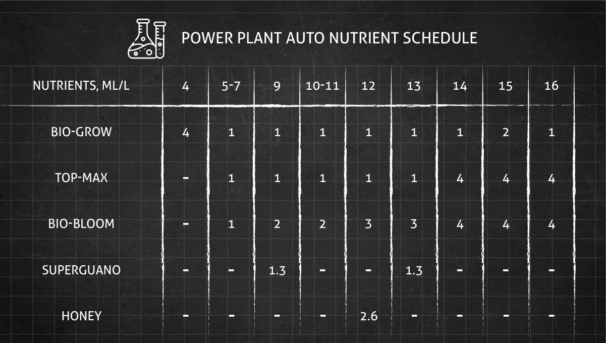 Power Plant cannabis strain: feeding chart for the vegetative and flowering stages Power Plant cannabis strain: feeding chart for the vegetative and flowering stages