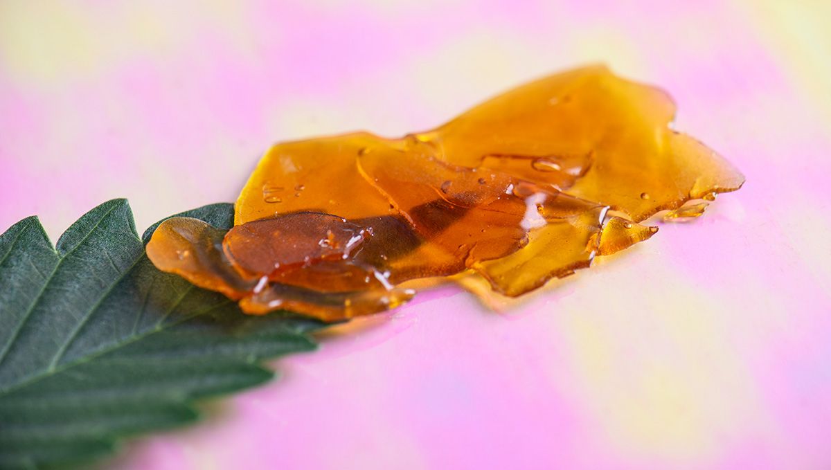 Cannabis Shatter: What Is It, How To Make And Smoke THC & CBD Hash Oil: A bit of rosin lying on top of a fresh cannabis leaf