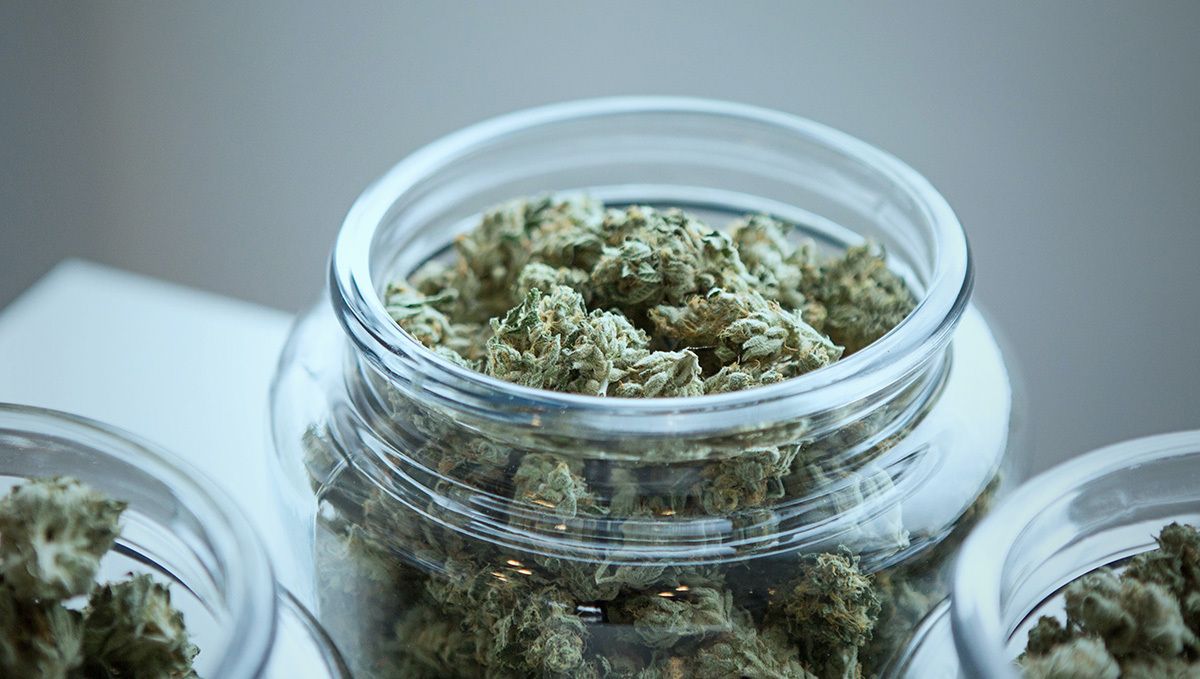 How to store cannabis: long-term storage