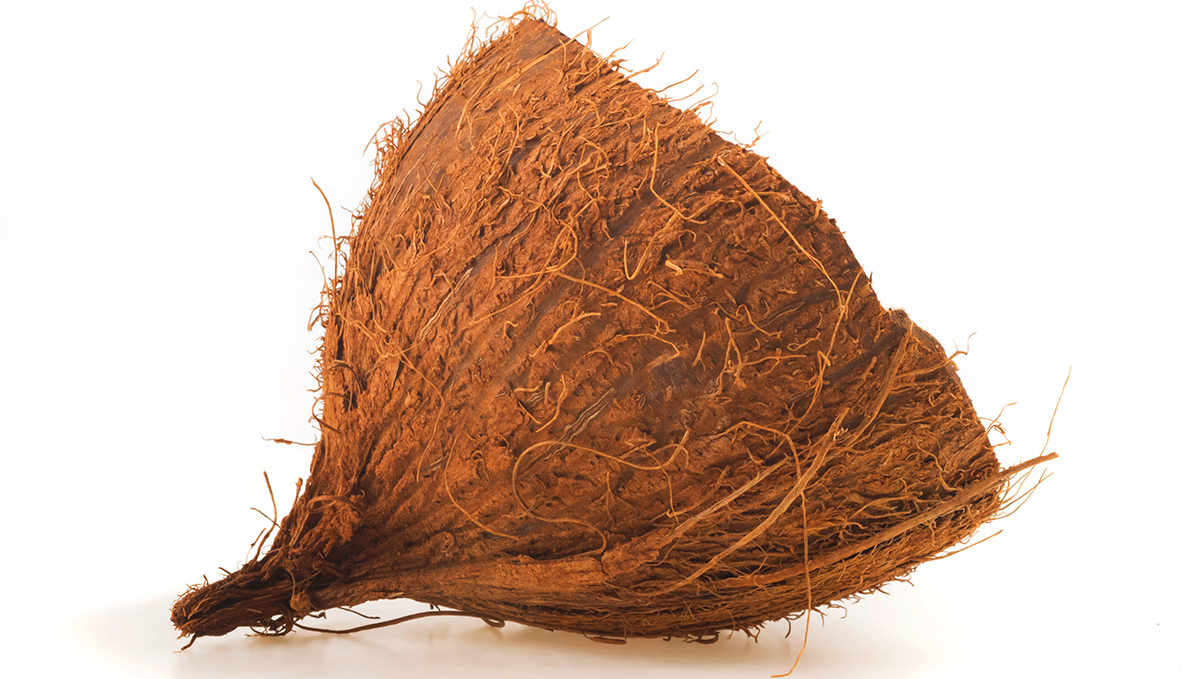 How to grow auto in coco coir: what is coco coir?