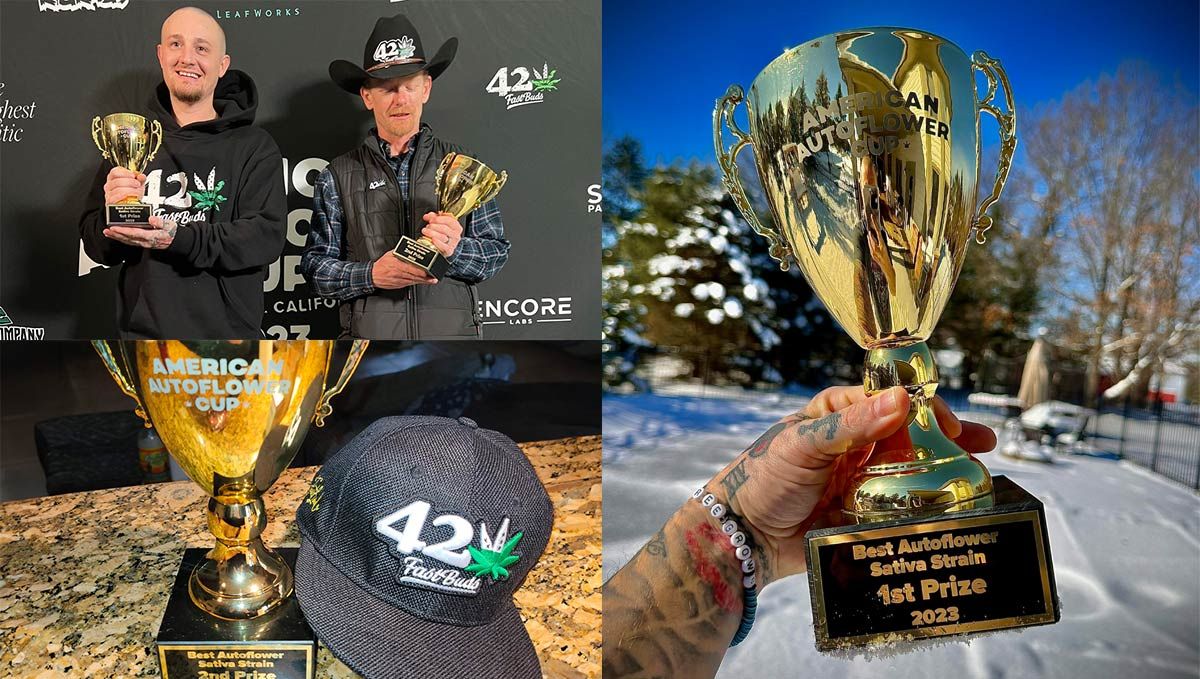 American Autoflower Cup 2023