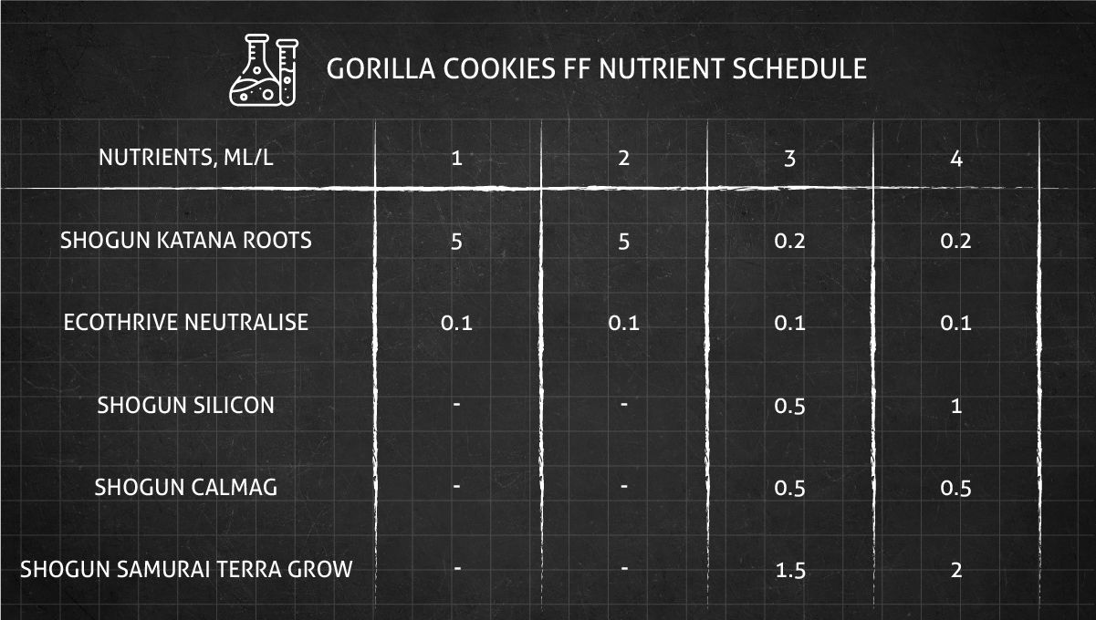 Gorilla Cookies FF cannabis strain: veg nutrient schedule Gorilla Cookies FF cannabis strain: veg nutrient schedule