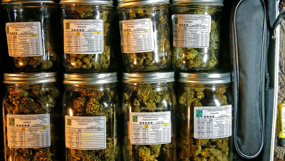 BubbleGum Auto: curing