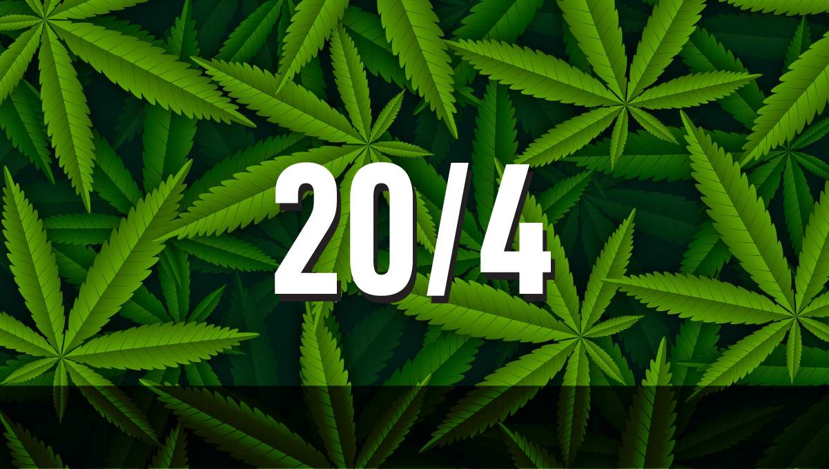 Καλύτερο πρόγραμμα φωτισμού για δενδρύλλια κάνναβης αυτόματης ανθοφορίας: 20/4 κύκλος φωτός για δενδρύλλια κάνναβης Καλύτερο πρόγραμμα φωτισμού για δενδρύλλια κάνναβης αυτόματης ανθοφορίας: 20/4 κύκλος φωτός για δενδρύλλια κάνναβης