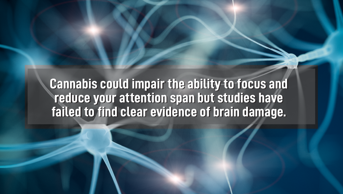 Thc effects on the central nervous system: there's no concrete evidence to support that cannabis can cause brain damage