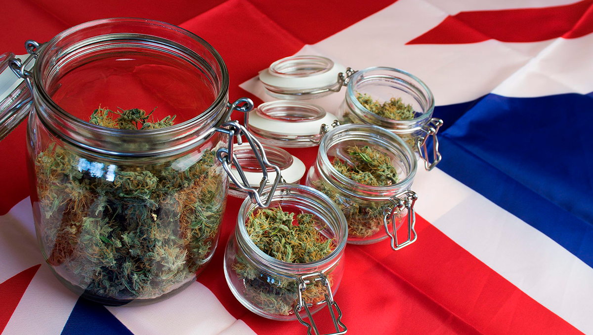 Weed in the uk: cannabis laws in the uk Weed in the uk: cannabis laws in the uk