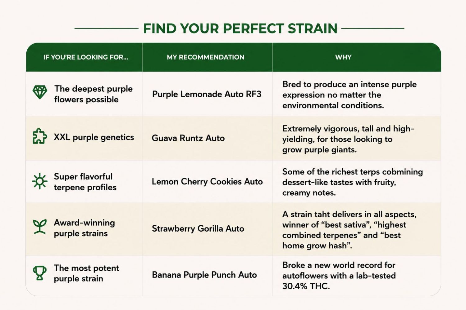Which Purple Strain Is Right For You?