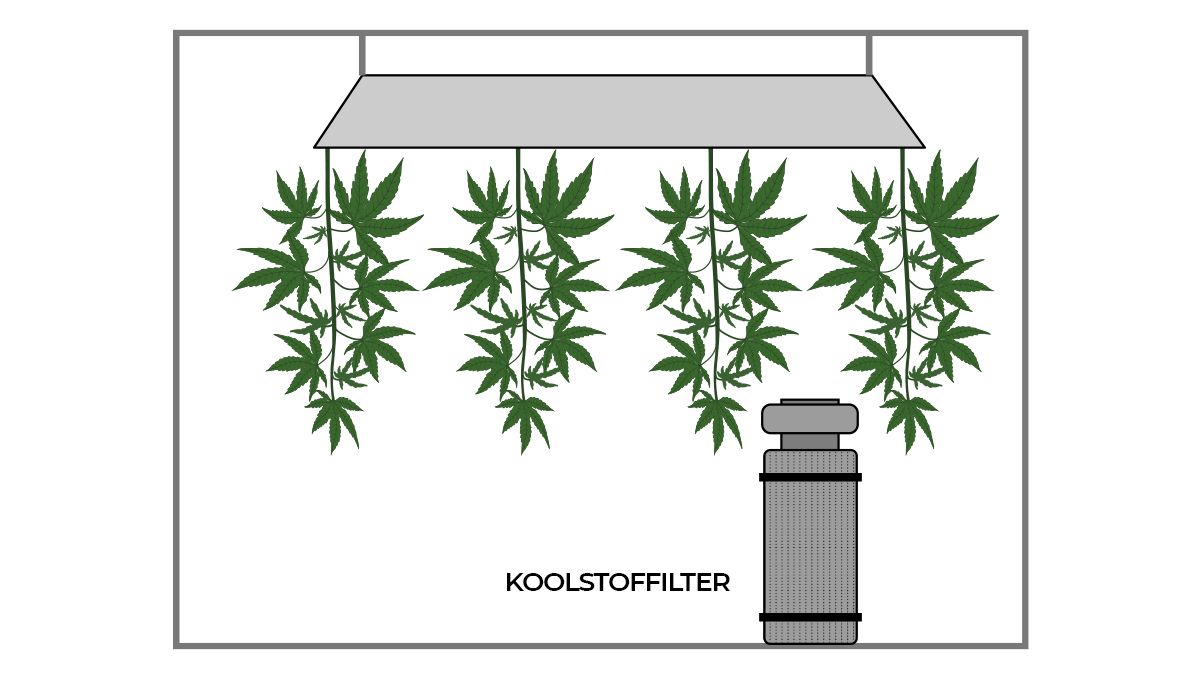 De beste omstandigheden voor je droogkamer en hoe je cannabis kunt drogen: Koolstoffilter De beste omstandigheden voor je droogkamer en hoe je cannabis kunt drogen: Koolstoffilter