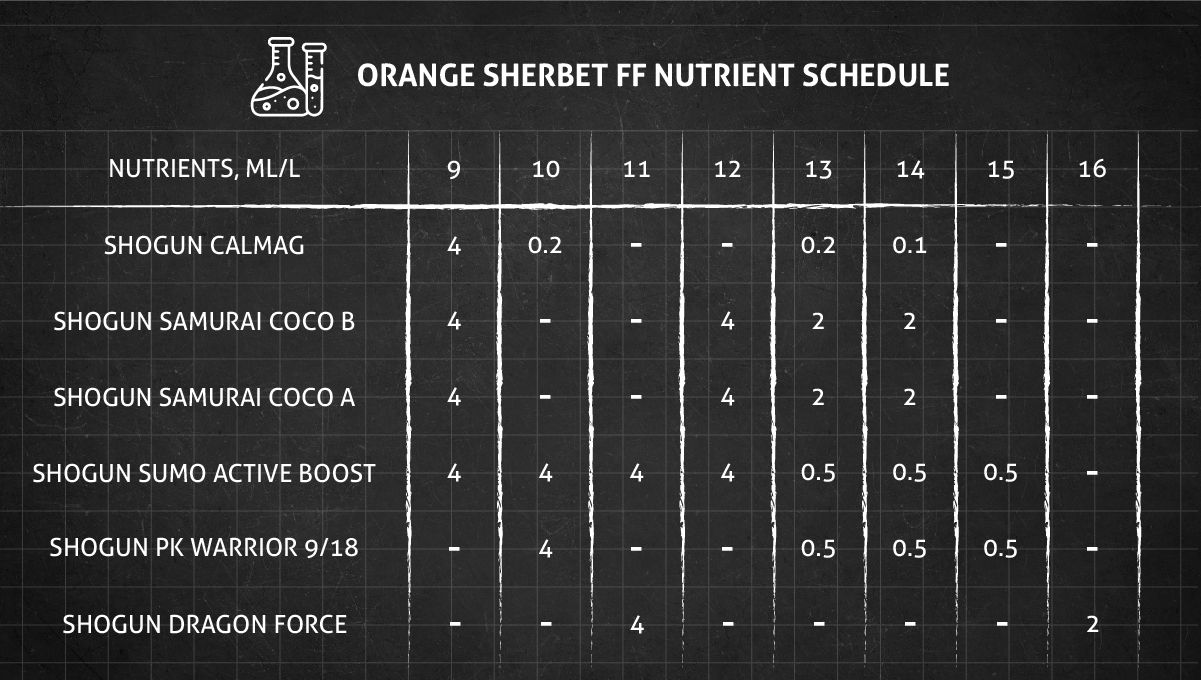 Orange Sherbet FF cannabis strain: flower nutrient schedule Orange Sherbet FF cannabis strain: flower nutrient schedule