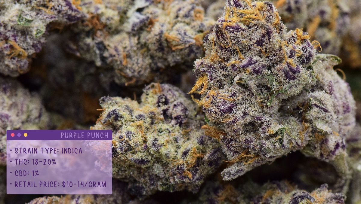 22 Best Weed Strains to Try in 2022: Purple Punch