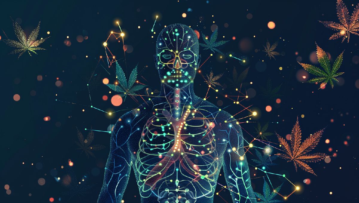 Medizinische Anwendungen