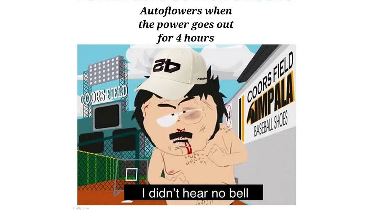 1 (14).jpg meme
