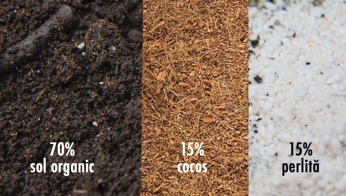 Cel mai bun amestec de sol pentru cultivatorii experimentați