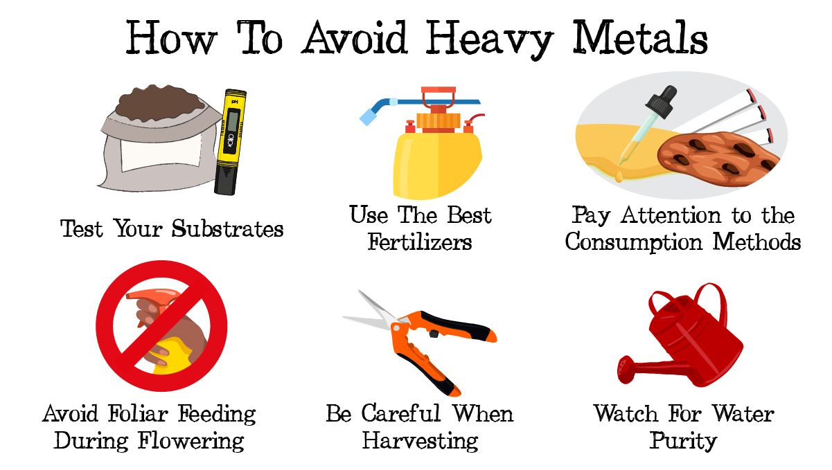 Heavy metals in cannabis: top tips to avoid heavy metals Heavy metals in cannabis: top tips to avoid heavy metals
