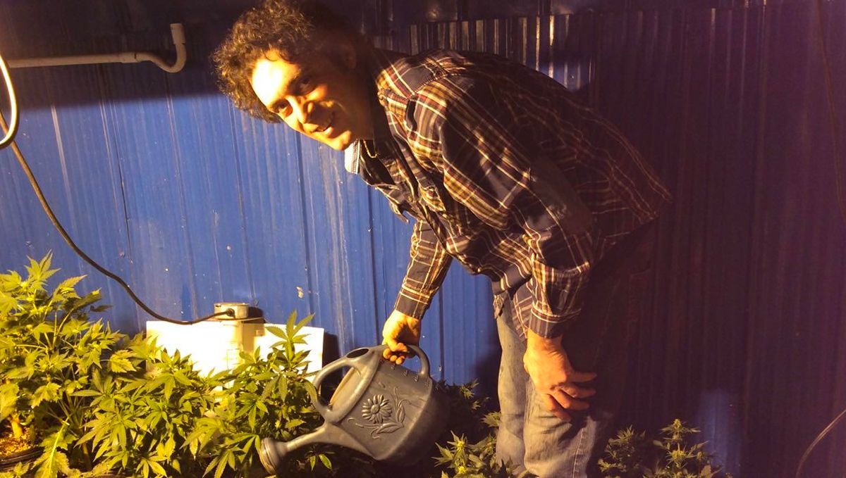 The Joint Doctor with his plants. The Joint Doctor with his plants.