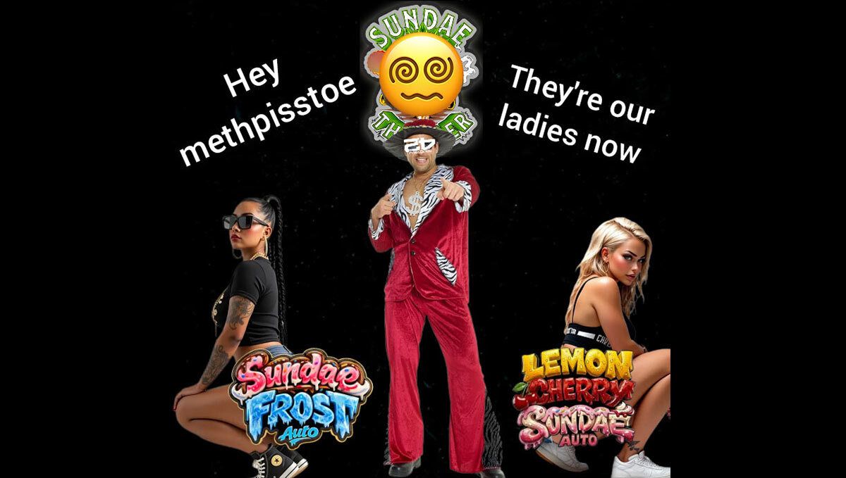 3 (14).jpg Discord Meme Winner May