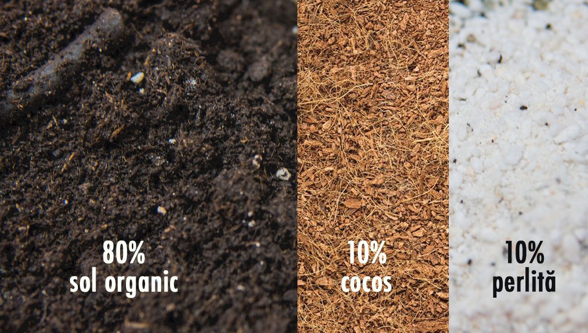Cel mai bun amestec de sol pentru cultivatorii începători
