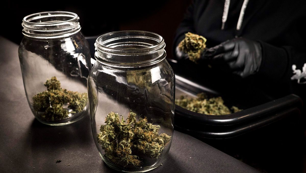 Die Fermentierung sollte in luftdicht verschlossenen Glasgefäßen erfolgen. Die Fermentierung sollte in luftdicht verschlossenen Glasgefäßen erfolgen.