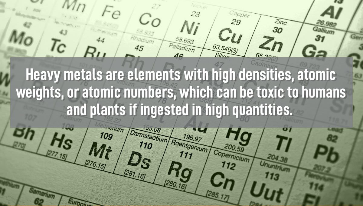 Heavy metals in cannabis: what are heavy metals Heavy metals in cannabis: what are heavy metals