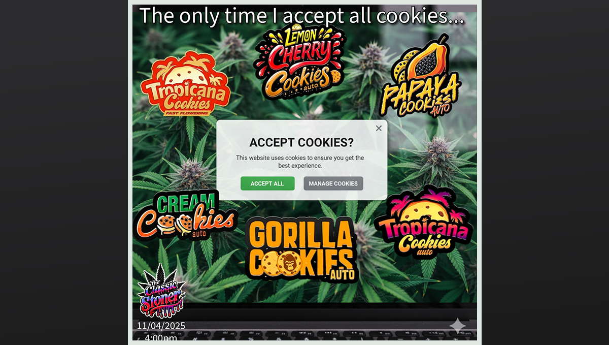 Winning meme celebrating the essence of cannabis Cookies.