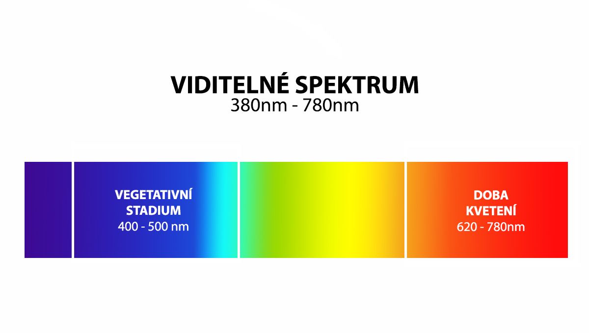 Nejlepší světelný plán pro samonakvétací rostliny: nejlepší světelné spektrum pro samonakvétací rostliny
